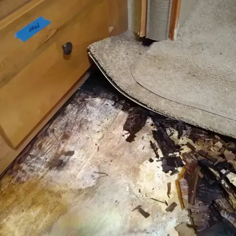 Best Wood Floor Water Damage Service in Brandywine, MD